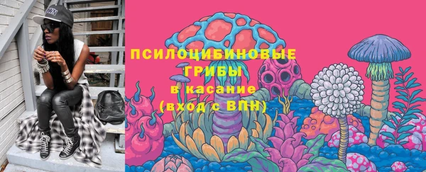 mdpv Бородино