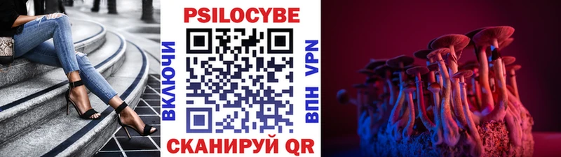 Псилоцибиновые грибы Cubensis  Семёнов 